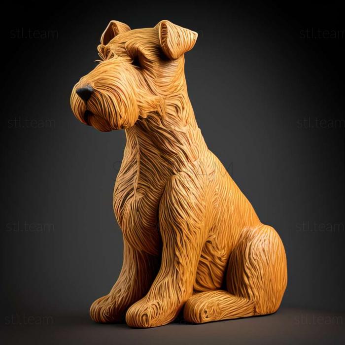 Animals Lakeland Terrier dog